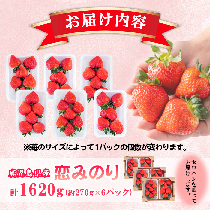 【数量限定】鹿児島県産朝採れイチゴ「恋みのり」約1620g(約270g×6パック) いちご イチゴ 苺 果物 フルーツ スイーツ デザート お菓子 人気 甘い 大粒 ジャム スムージー a3-241