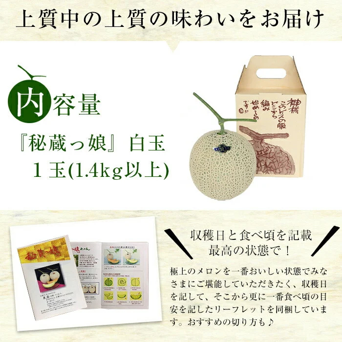 【春限定】極上メロン「秘蔵っ娘」白玉(青肉)1個 メロン マスクメロン 果物 くだもの デザート 青肉 a5-059-s