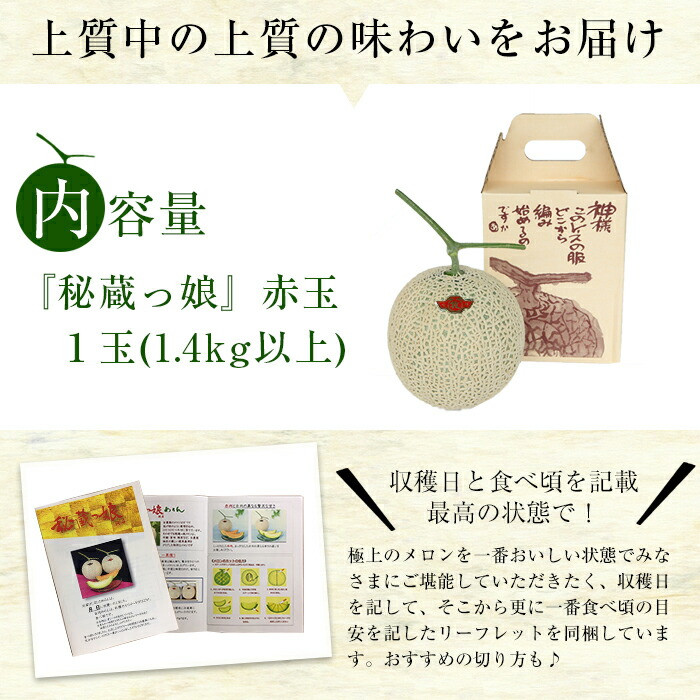 【春限定】極上メロン「秘蔵っ娘」赤玉(赤肉)1個 メロン マスクメロン 果物 くだもの デザート 赤肉 a5-060-s