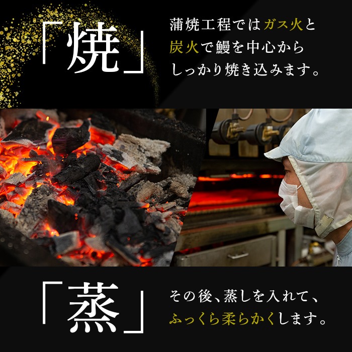 八本木樽鰻2尾＆お茶セット うなぎ蒲焼(156g以上×2尾)＆煎茶さがの(100g) 鰻 タレ たれ さんしょう 山椒付 お茶 緑茶 鹿児島県産 国産 セット 冷凍 おかず おつまみ お祝い 惣菜 a5-330