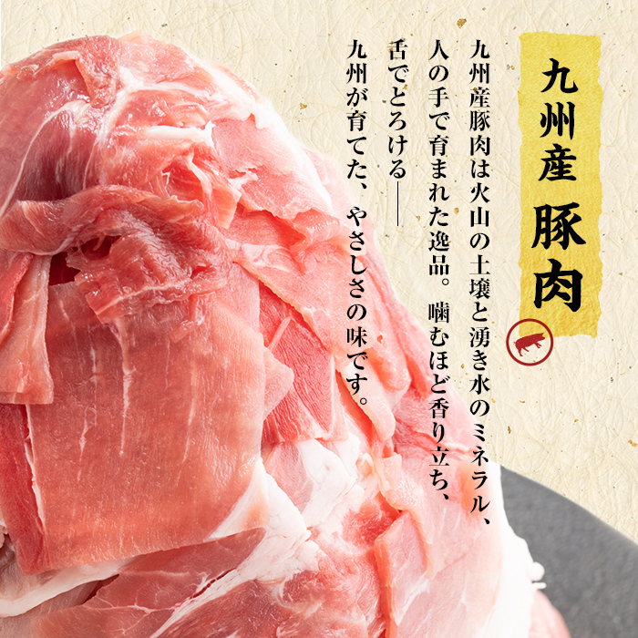 【訳あり・生産者応援企画】九州産 豚切り落とし肉＜計4.8kg(300g×16P)＞ 豚肉 ぶた肉 肉 国産 九州産 切り落とし 切落し 小分け 真空パック チャック付き 野菜炒め 豚丼 カレー b3-023