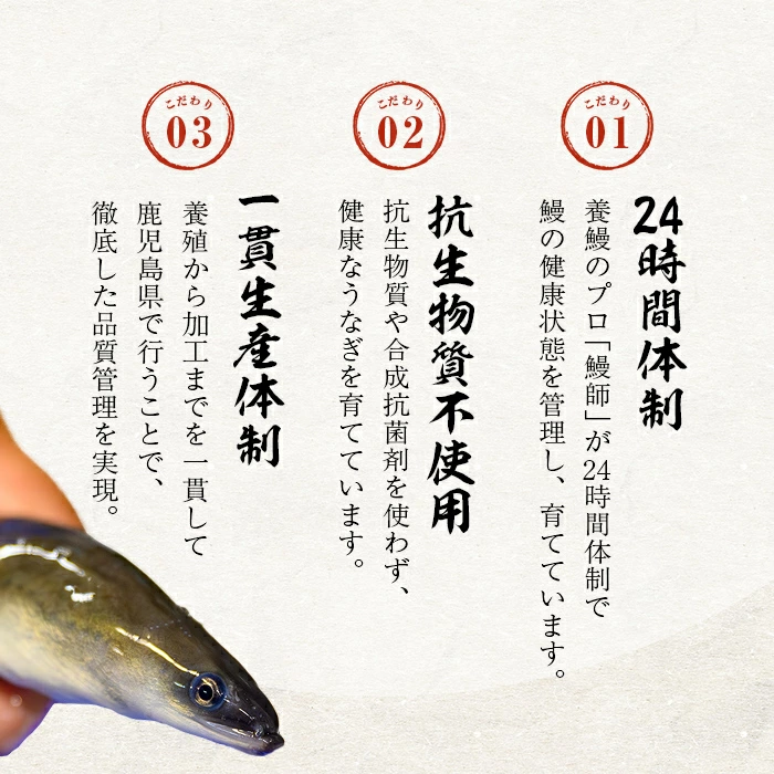 【無薬養鰻】 鹿児島産 山田のうなぎ ＜計480g以上＞（160g以上×3尾） 肝串セット うなぎ 鰻 ウナギ 無薬 養鰻 無投薬 3尾 国産 九州産 蒲焼き かばやき 冷凍 うな重 ひつまぶし タレ 山椒 【ポータル限定】 a6-062-km