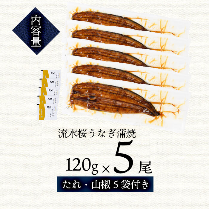 うなぎの柳澤 流水桜うなぎの蒲焼き 計5尾＜計600g＞ うなぎ 鰻 ウナギ 国産 鹿児島県産 九州産 蒲焼き 冷凍 うな重 ひつまぶし a9-040