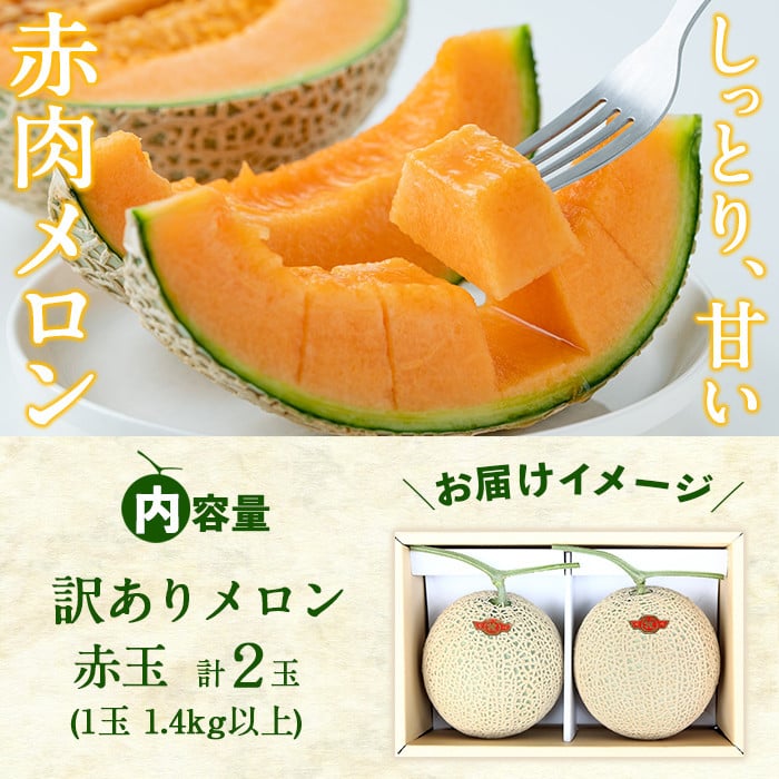 【春限定・数量限定】牧さんの訳ありメロン 赤玉(赤肉)計2玉 メロン マスクメロン 果物 くだもの デザート 赤肉 訳あり b0-105-s