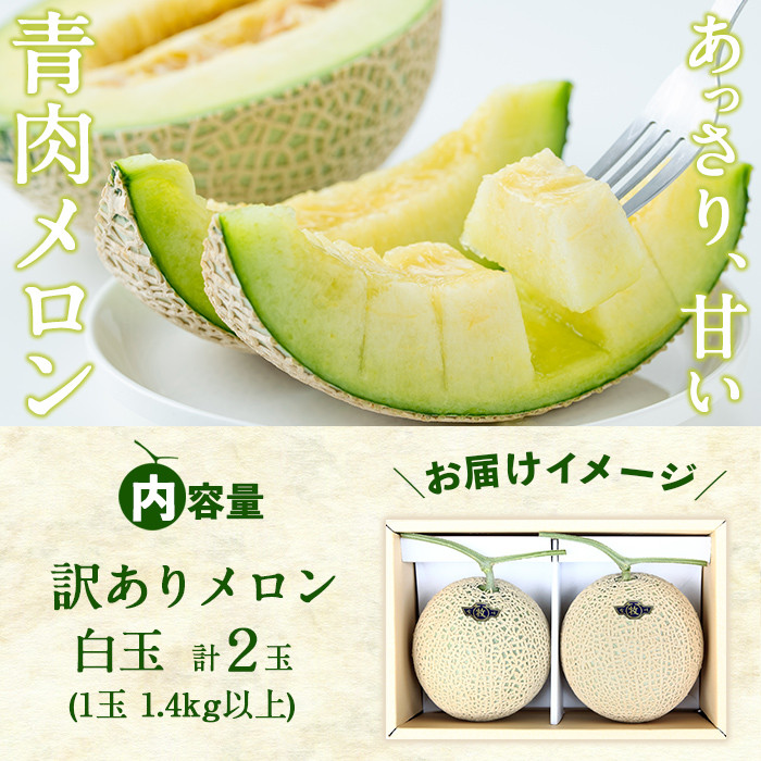 【春限定・数量限定】牧さんの訳ありメロン 白玉(青肉)計2玉 メロン マスクメロン 果物 くだもの デザート 青肉 訳あり b0-106-s