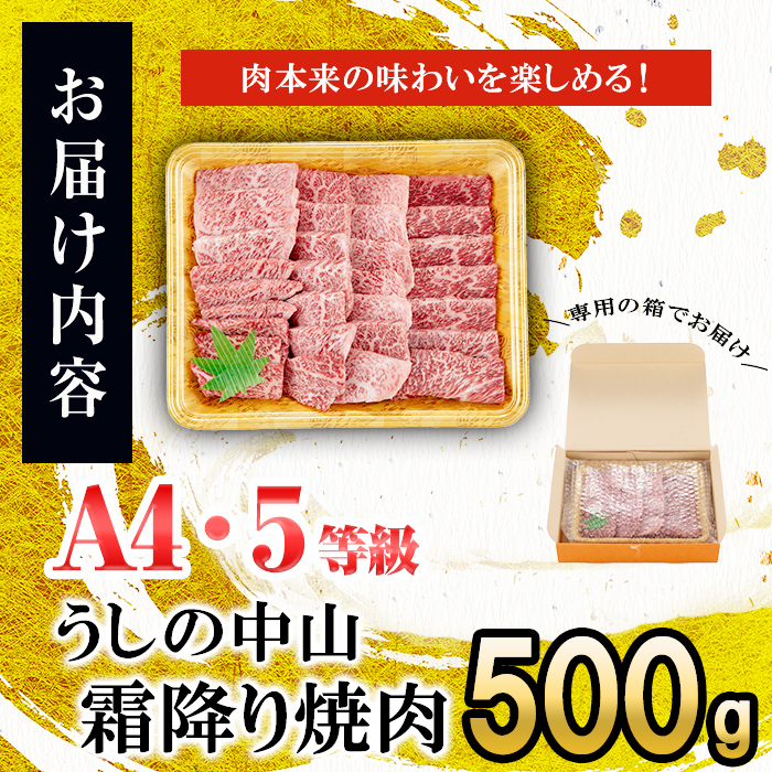 ＜A4・A5等級＞鹿児島県産黒毛和牛 うしの中山 霜降り焼肉用 500g 黒毛和牛 和牛 肉 牛肉 国産 九州産 鹿児島県産 焼肉 霜降り 日本一 b4-014