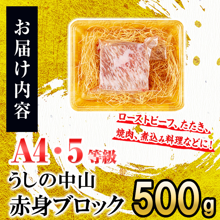 赤身ブロック500g×1P 黒毛和牛 和牛 肉 牛肉 国産 九州産 鹿児島県産 焼肉 赤身 日本一 b0-204