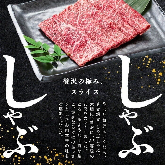【小分け】＜A5等級＞鹿児島県産 黒毛和牛 牛肉 赤身 焼肉＆しゃぶしゃぶ セット (焼肉200g×2P/スライス200g×3P)＜計1kg＞ 牛肉 肉 小分け 鹿児島県産 国産 A5 赤身 焼肉 すき焼き しゃぶしゃぶ 黒毛和牛 b2-050