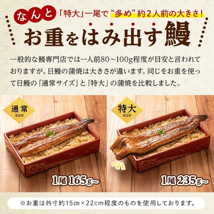 日ノ本一の鰻の蒲焼き＜特大＞2尾セット(計470g以上) うなぎ 鰻 ウナギ 国産 鹿児島県産 九州産 蒲焼き 冷凍 うな重 ひつまぶし b3-010
