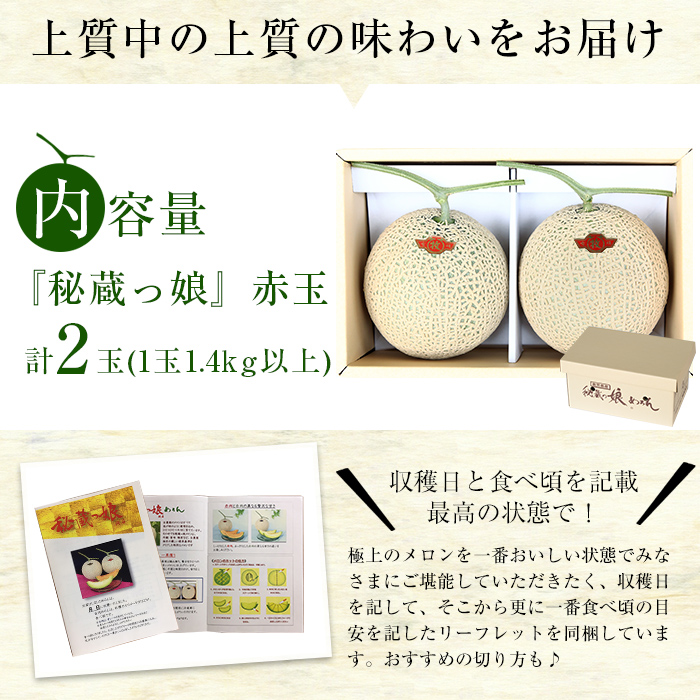 【春限定】極上メロン「秘蔵っ娘」赤玉(赤肉)2個 メロン マスクメロン 果物 くだもの デザート 赤肉 b5-036-s