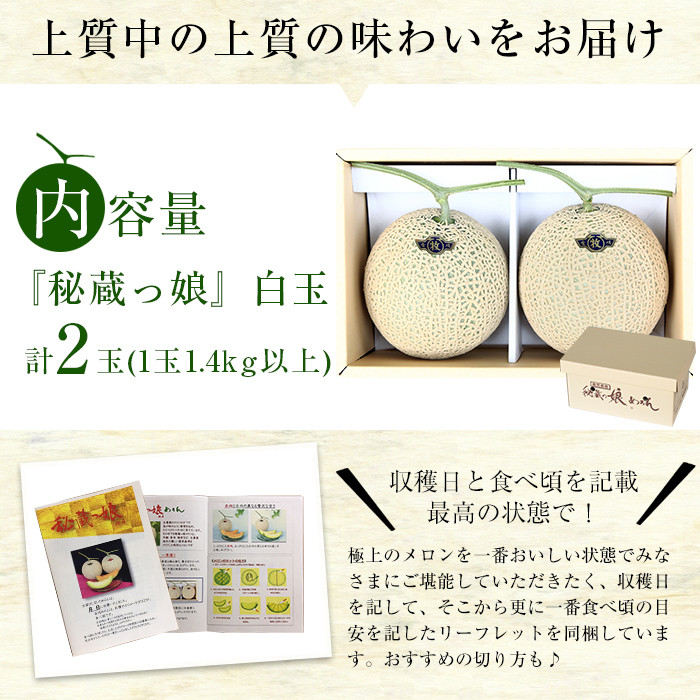 【春限定】極上メロン「秘蔵っ娘」白玉(青肉)2個 メロン マスクメロン 果物 くだもの デザート 青肉 b5-037-s