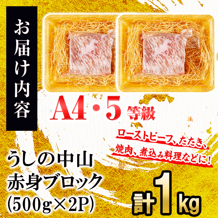 赤身ブロック計1kg(500g×2P) 黒毛和牛 和牛 肉 牛肉 国産 九州産 鹿児島県産 焼肉 赤身 日本一 c0-125
