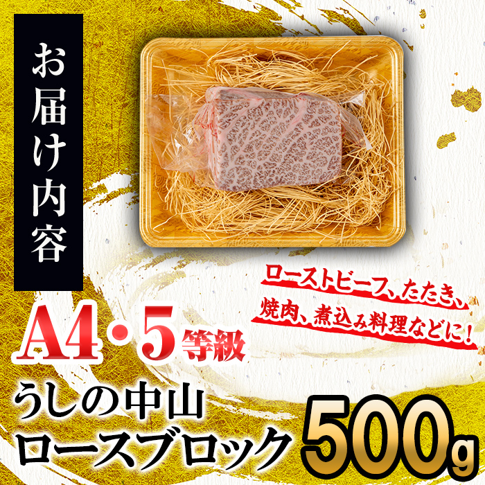 ロースブロック 500g×1P 黒毛和牛 和牛 肉 牛肉 国産 九州産 鹿児島県産 ロース 焼肉 ローストビーフ たたき 煮込み 日本一 冷凍 ブロック肉 BBQ バーベキュー ステーキ c0-126