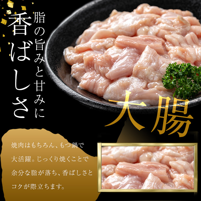 うしの中山 A4・A5等級黒毛和牛 ホルモン（大腸） 計3kg（500g×6袋）黒毛和牛 和牛 肉 牛肉 国産 九州産 鹿児島県産 ホルモン 焼肉 日本一 c0-135