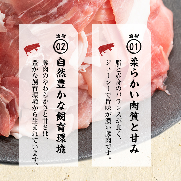 【工場直送 業務用】九州産豚切り落とし＜計9kg(300g×30P)＞ 肉 国産 豚肉 切り落とし 国産 九州産 小分け 真空パック しゃぶしゃぶ c0-137