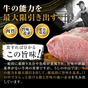 鹿児島県産黒毛和牛すき焼き肉霜降り薄切り肉(3人前600g/600g×1P) 黒毛和牛 和牛 牛肉 国産 日本一 スライス すき焼き しゃぶしゃぶ 薄切り 霜降り 贈答 冷凍 c0-142