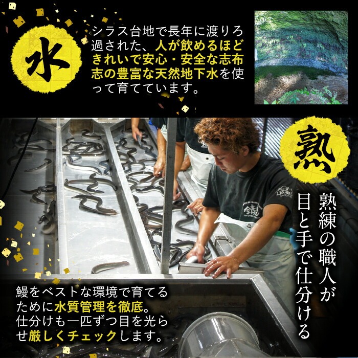【訳あり】鹿児島県産！秘伝の特上スタミナうなぎ白焼き＜計600g以上／4尾以上＞肝吸いセット！ c1-014