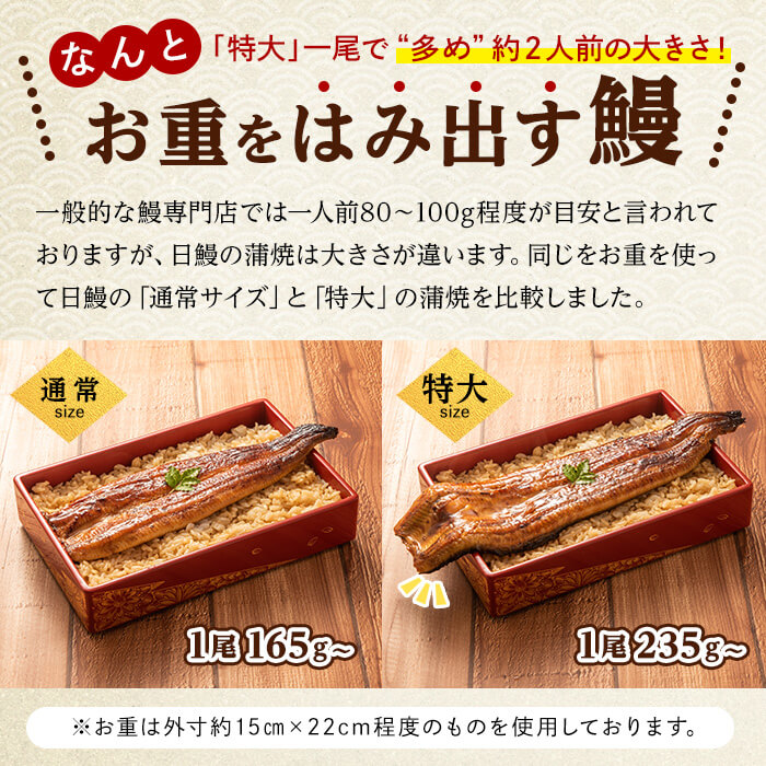 日ノ本一の鰻の蒲焼き＜特大＞3尾セット(計705g以上) うなぎ 鰻 ウナギ 国産 鹿児島県産 九州産 蒲焼き 冷凍 うな重 ひつまぶし c2-009
