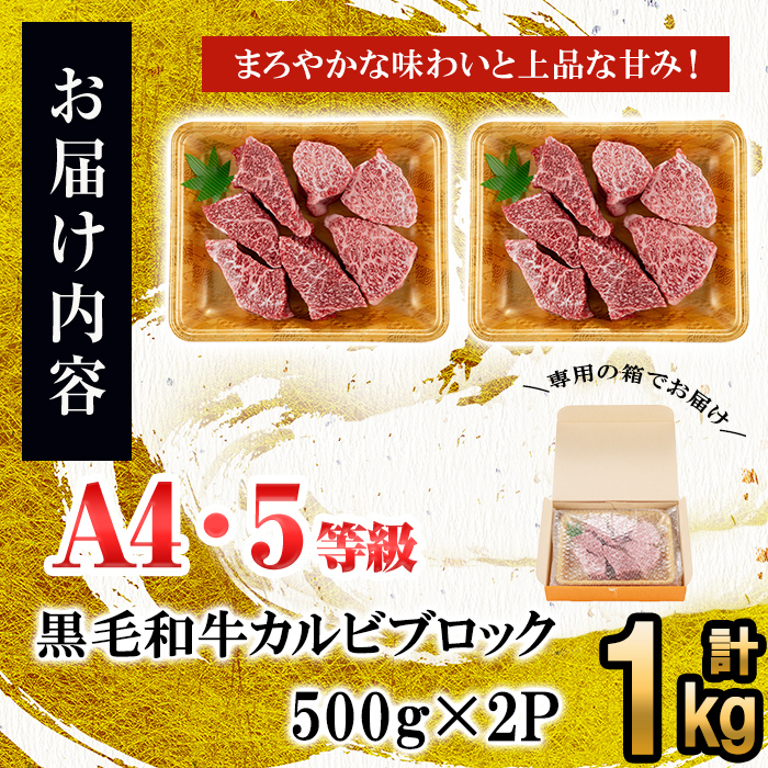 カルビブロック 500g×2P（計1kg）黒毛和牛 和牛 肉 牛肉 国産 九州産 鹿児島県産 焼肉 カルビ 日本一 c2-013
