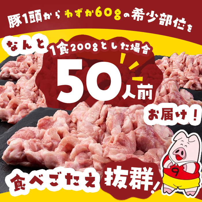 【訳あり・業務用】希少部位！！国産豚タン元(計10kg) 国産 豚肉 豚 肉 タン 豚タン 焼肉 BBQ 訳あり 業務用 つまみ おつまみ 希少部位 冷凍 c8-032