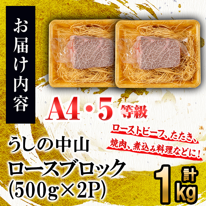 ロースブロック 計1kg(500g×2P) 黒毛和牛 和牛 肉 牛肉 国産 九州産 鹿児島県産 ステーキ 焼肉 ロース 日本一 e5-002