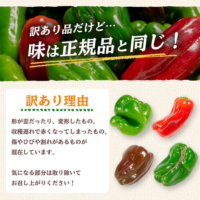志布志産訳ありピーマン(1kg) ピーマン 訳あり 野菜 やさい ぴーまん 新鮮 常温 常温保存 おかず 詰め合わせ 銀賞 銀賞受賞 野菜ソムリエサミット p5-050