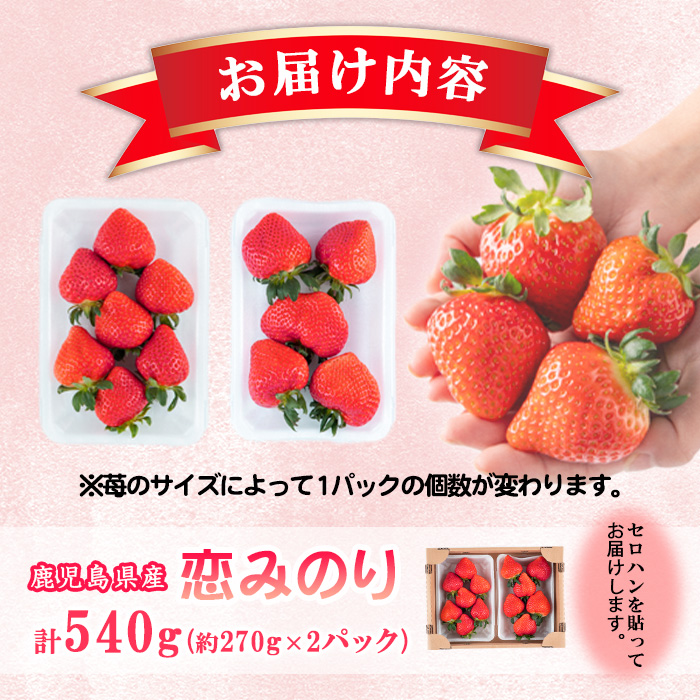 【数量限定】鹿児島県産朝採れイチゴ「恋みのり」約540g(約270g×2パック) いちご イチゴ 苺 果物 フルーツ スイーツ デザート お菓子 人気 甘い 大粒 ジャム スムージー p7-048