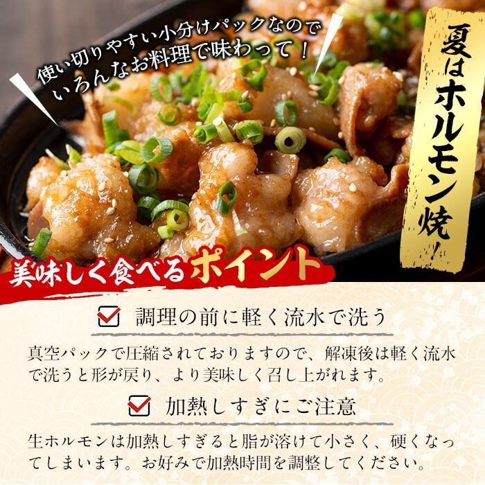 国産黒毛和牛ホルモン もつ鍋セット(2～3人前) 黒毛和牛 肉 牛肉 国産 もつ鍋 モツ鍋 ホルモン タレ 鍋 焼肉 バーべキュー 小分け p9-042