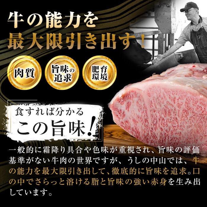鹿児島県産黒毛和牛ミニステーキ(1人前100g/100g×1枚) 黒毛和牛 和牛 ステーキ 牛肉 国産 日本一 人気 贈答 冷凍 p9-045