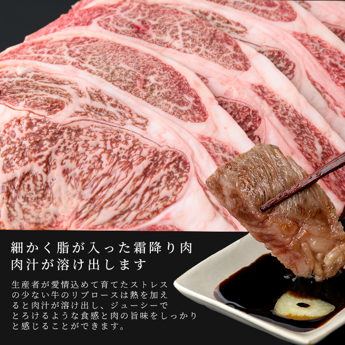 【定期便 全2回】国産 黒毛和牛2種お楽しみ定期便(計1.9kg) 国産 黒毛和牛 切り落とし 4等級 以上 九州産 ロース 大判 焼肉 和牛 牛 牛肉 焼き肉 冷凍 小分け 訳あり 定期便 頒布会 t0029-001