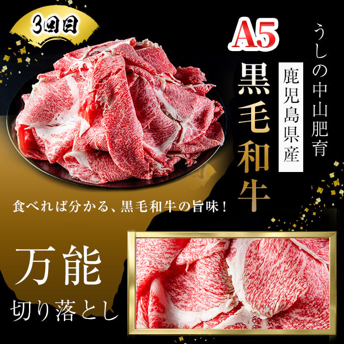 【定期便全3回】＜A4・A5等級＞黒毛和牛堪能〈お試し〉定期便（2～3人分）総重量900g 鹿児島県産 黒毛和牛 和牛 肉 牛肉 国産 九州産 鹿児島県産 焼肉 焼き肉 BBQ ランキング 人気 A4 A5 赤身 切り落とし カルビ お楽しみ 食べ比べ 2人前 3人前 t0035-002