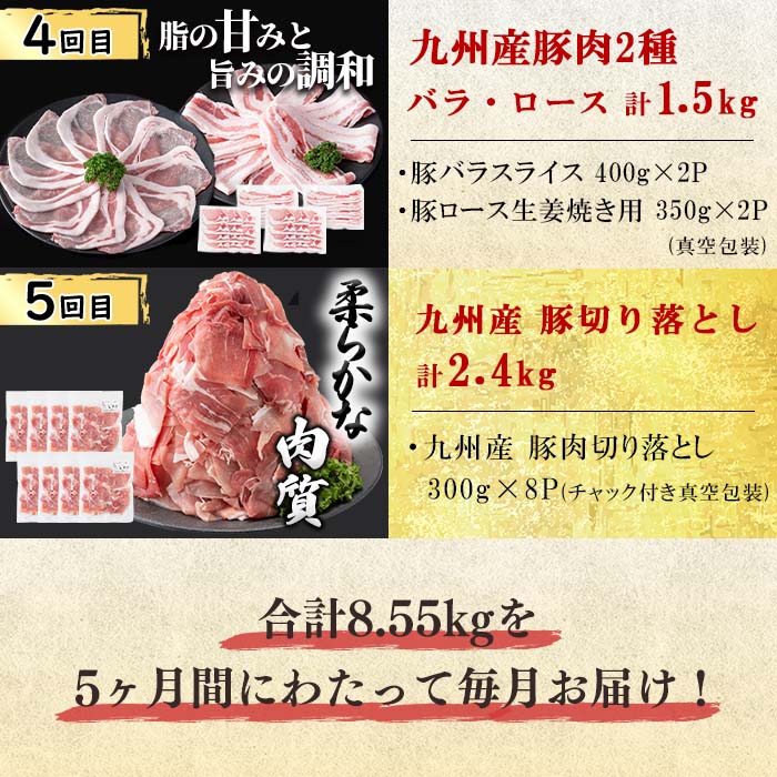 【定期便全5回】生活支援定期便(5ヶ月連続・総量8.5kg以上)国産牛 九州産 豚 豚肉 肉 牛肉 国産 しゃぶしゃぶ 豚バラ 切り落し 大容量 人気 小分け 真空包装 t0061-002