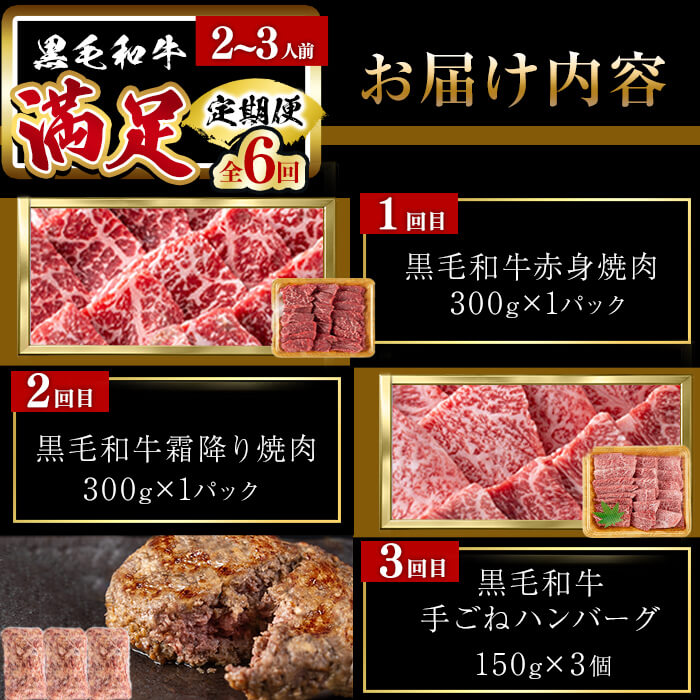 【定期便全6回】＜A4・A5等級＞黒毛和牛堪能〈満足〉定期便（2～3人分）総重量1.95kg 鹿児島県産 黒毛和牛 和牛 肉 牛肉 国産 九州産 鹿児島県産 焼肉 焼き肉 BBQ A4 A5 赤身 切り落とし カルビ お楽しみ 食べ比べ ハンバーグ ミスジ 霜降り ステーキ 2人前 3人前 t0069-001