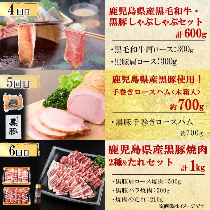 【定期便・全6回】鹿児島県産黒豚・黒毛和牛満喫コース！ 総量4.5kg超! ?牛肉 豚肉 鹿児島県産 九州産 国産 黒毛和牛 ステーキ すきやき しゃぶしゃぶ 焼肉 BBQ ウインナー ソーセージ ハム ハムカツ 定期便 t0088-002