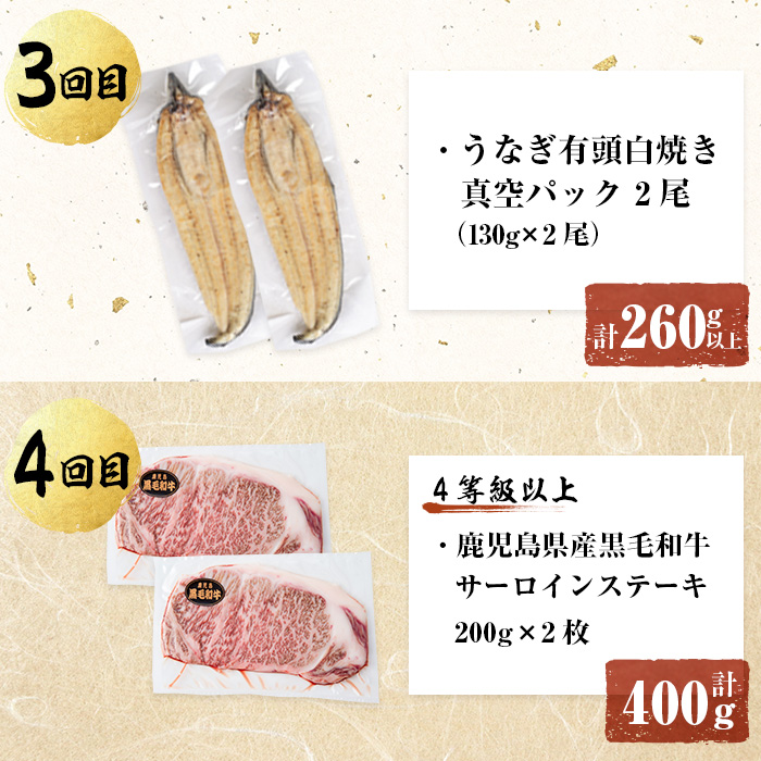 【定期便全6回】鰻と肉の贅沢定期便！鰻とお肉が交互に届くお楽しみ便 定期便 牛肉 ステーキ 鰻 豚肉 t0100-029