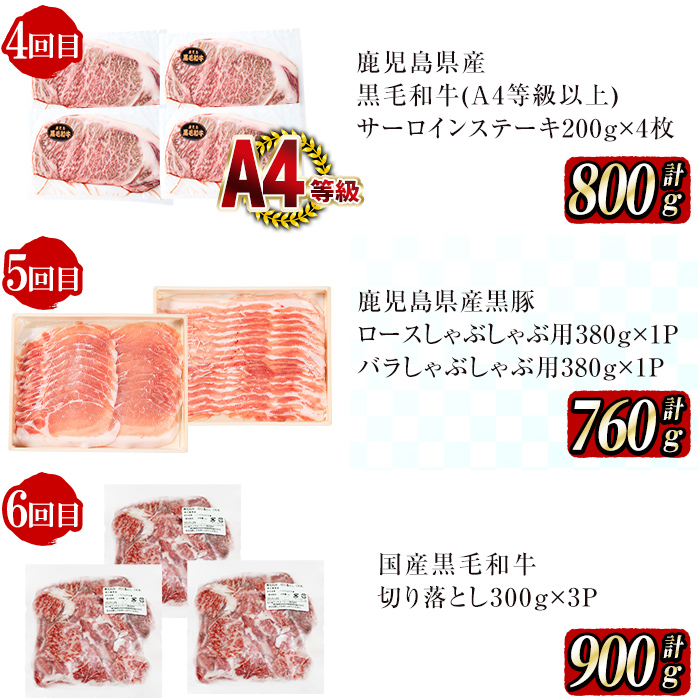 【定期便全6回】黒毛和牛・黒豚を交互にお届け！＜志布志牛・豚 満足定期コース＞計6.3kg超！定期便 牛肉 豚肉 サーロイン スライス 切り落とし 黒豚 ロース 豚ロース 豚バラ しゃぶしゃぶ すき焼き 焼肉 国産 t0100-026-02