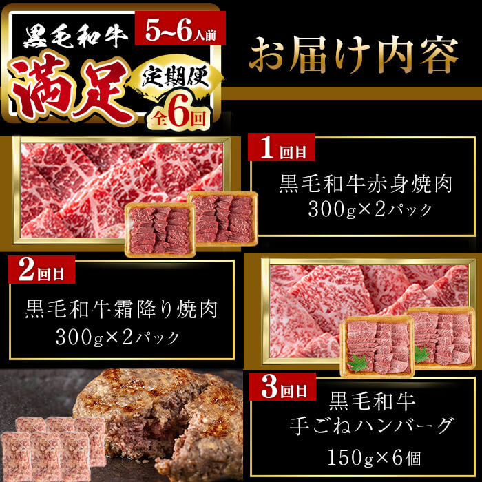 【定期便全6回】＜A4・A5等級＞黒毛和牛堪能〈満足〉定期便（5～6人分）総重量3.9kg 鹿児島県産 黒毛和牛 和牛 肉 牛肉 国産 九州産 鹿児島県産 焼肉 焼き肉 BBQ A4 A5 赤身 切り落とし カルビ お楽しみ 食べ比べ ハンバーグ ミスジ 霜降り ステーキ 5人前 6人前 t0118-002