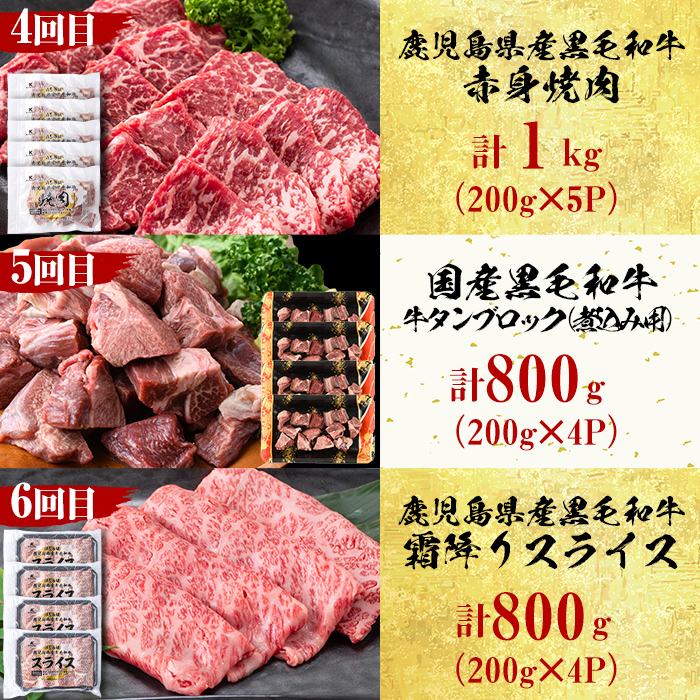 【定期便・全6回】＜A5等級＞鹿児島県産黒毛和牛＆国産牛タンのお楽しみ牛肉定期便＜計6.1kg超＞ 定期便 牛肉 肉 お楽しみ バラエティ 小分け 牛たん すき焼き しゃぶしゃぶ ステーキ 焼肉 セット 頒布会 t0135-001