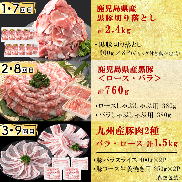 【定期便全12回】豚肉堪能定期便(12ヶ月連続・総量21.6kg以上) 豚 豚肉 肉 国産 九州産 しゃぶしゃぶ 焼肉 豚バラ ロース 切り落し 大容量 人気 小分け 真空包装 t0160-001