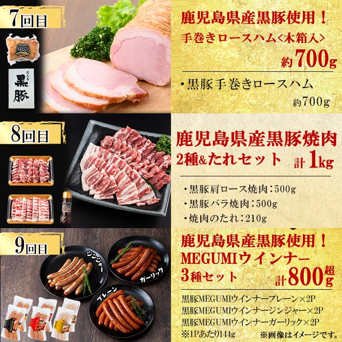 【定期便・全12回】ナンチクのお肉を楽しむ定期便！ナンチク厳選コース！ 総量8.5kg超! 牛肉 豚肉 鹿児島県産 国産 黒毛和牛 ステーキ すきやき しゃぶしゃぶ 焼肉 BBQ ウインナー ソーセージ ハム ローストビーフ 生ハム 定期便? t0165-001