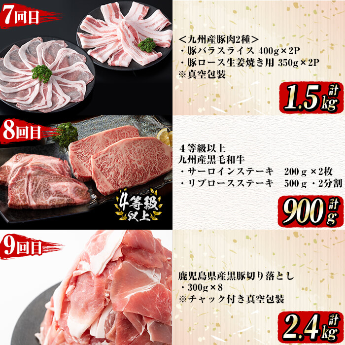 【定期便全12回】牛・豚堪能定期便(12ヶ月連続・計15.7kg超) 黒毛和牛 国産牛 九州産 豚 豚肉 肉 牛肉 国産 4等級 訳あり 小分け 真空包装 冷凍 t0194-002