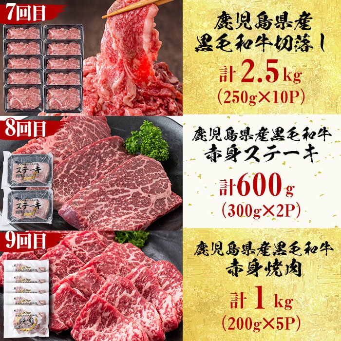 【定期便・全12回】＜A5等級＞鹿児島県産黒毛和牛＆国産牛タン プレミアム！牛肉満喫コース＜計12kg超＞ 定期便 牛肉 肉 1年 12回 12ヶ月 お楽しみ バラエティ 小分け 牛たん すき焼き しゃぶしゃぶ ステーキ 焼肉 セット 頒布会 	t026-001