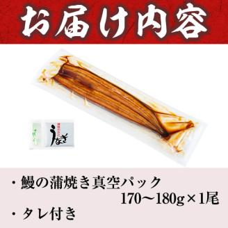 うなぎの大楠＜特大＞1尾170g a1-104