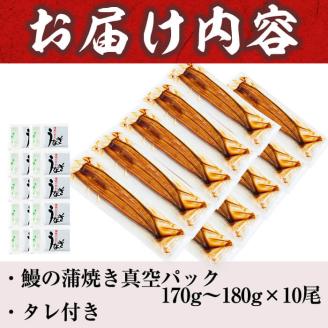 うなぎの大楠＜特大＞10尾セット計1.7kg(170g×10) g4-017