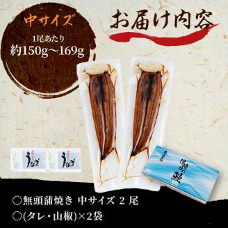 鹿児島県産 伊崎田のうなぎ蒲焼 中＜150g以上＞× 2尾(計300g以上) a5-223