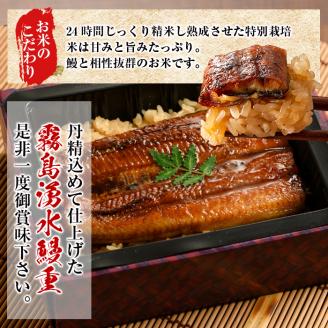 【数量限定】チンする♪霧島湧水鰻重セット 2食入 620g(蒲焼半身＋味付けご飯 [計310g×2食]) 鰻 ウナギ うなぎ うな重 鰻重 惣菜 おかず 簡単 レンジ 温めるだけ a1-049