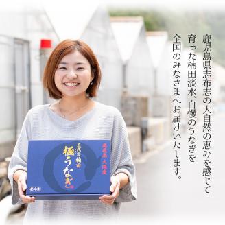 楠田の極うなぎ 素焼き焼肝(50g×5袋・たれ付き) a1-050