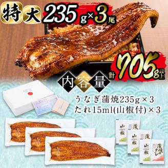 日ノ本一の鰻の蒲焼き＜特大＞3尾セット(計705g以上) うなぎ 鰻 ウナギ 国産 鹿児島県産 九州産 蒲焼き 冷凍 うな重 ひつまぶし c2-009