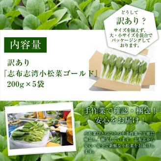【期間限定・訳あり】志布志湾小松菜ゴールド(計1kg 200g×5袋) 小松菜 こまつな こまつ菜 野菜 やさい 小分け パスタ ナムル スムージー ラーメン 炊き込みご飯 期間限定 訳あり 訳アリ 鹿児島県産 志布志 p8-147