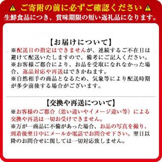 【数量限定】志布志湾ほうれん草(200g×5袋 合計1kg) サラダ おひたし お味噌汁 スムージー ほうれん草 ジュース ほうれんそう a1-032